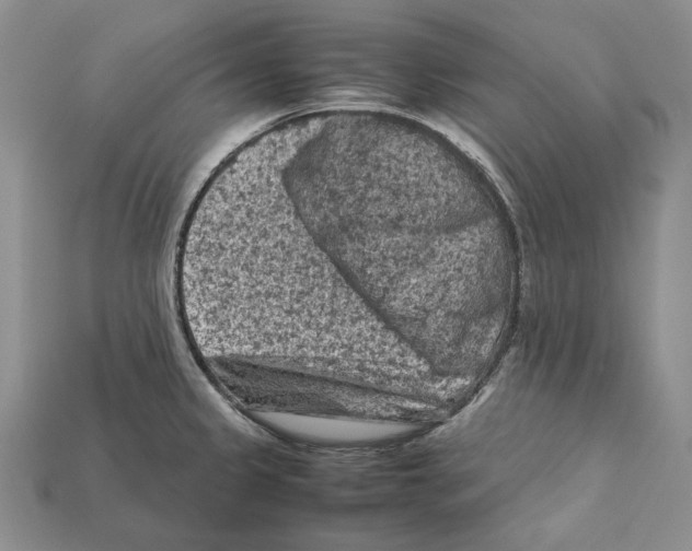 X0000112211333200909181546