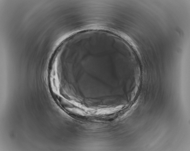 X0000112211334200909181546