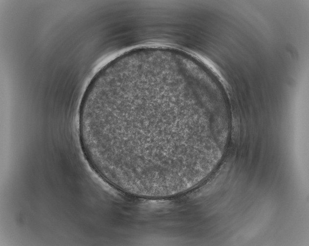 X0000112211335200909181546