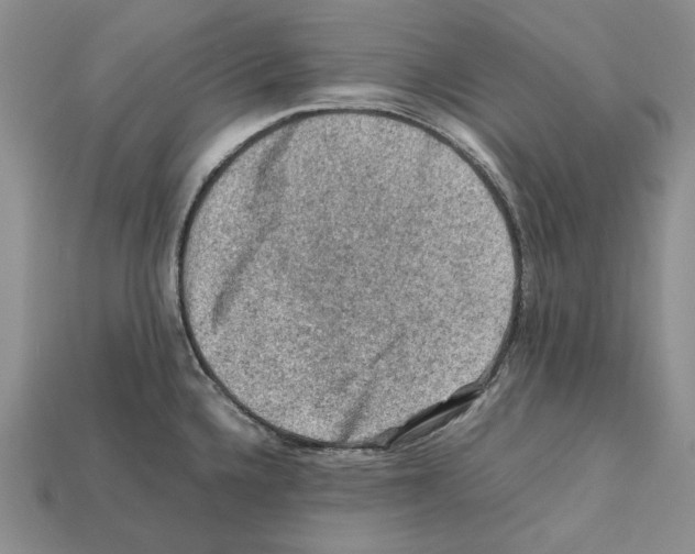 X0000112211336200909181546
