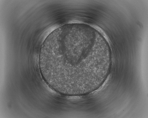 X0000112211337200909181546