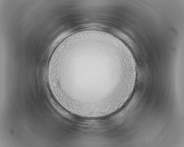 X0000112211338200909181546