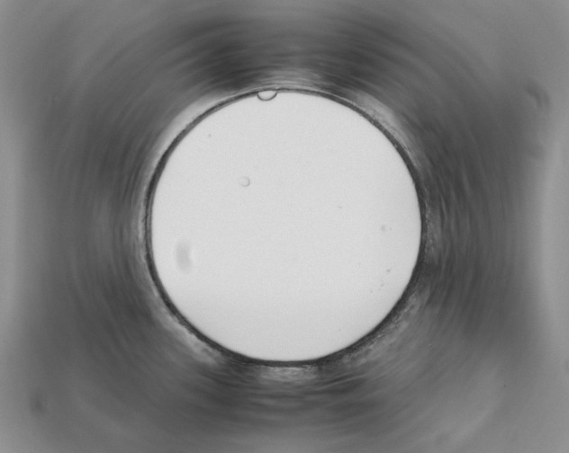 X0000112211339200909181546