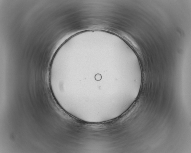 X0000112211340200909181546