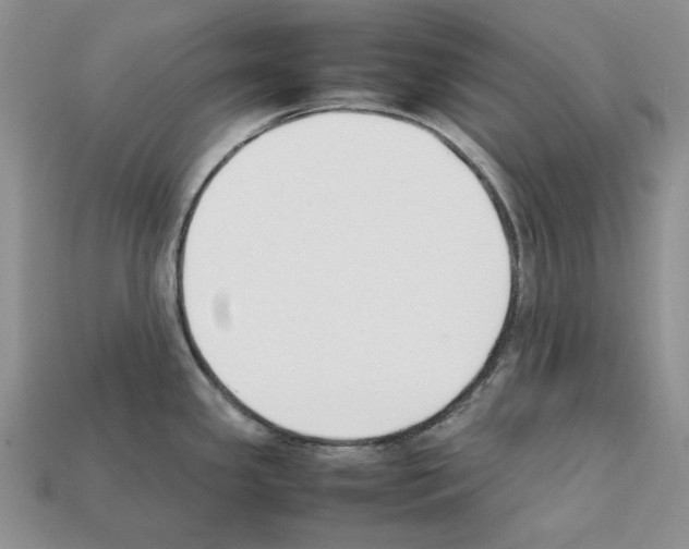 X0000112211341200909181546