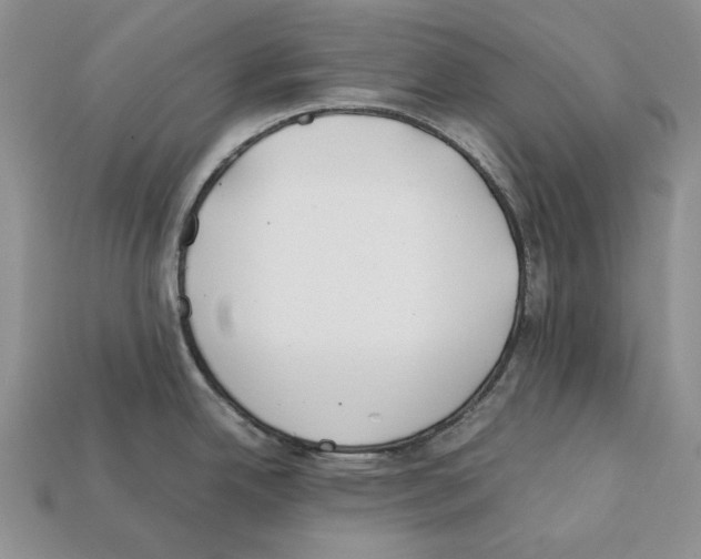 X0000112211342200909181546