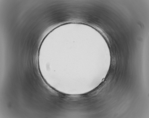 X0000112211343200909181546