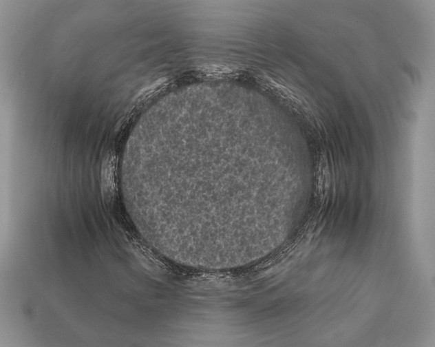 X0000112211346200909181545