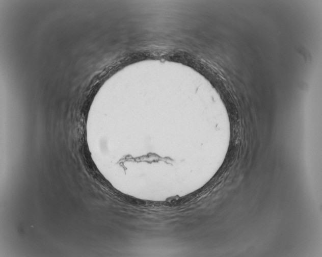 X0000112211349200909181545