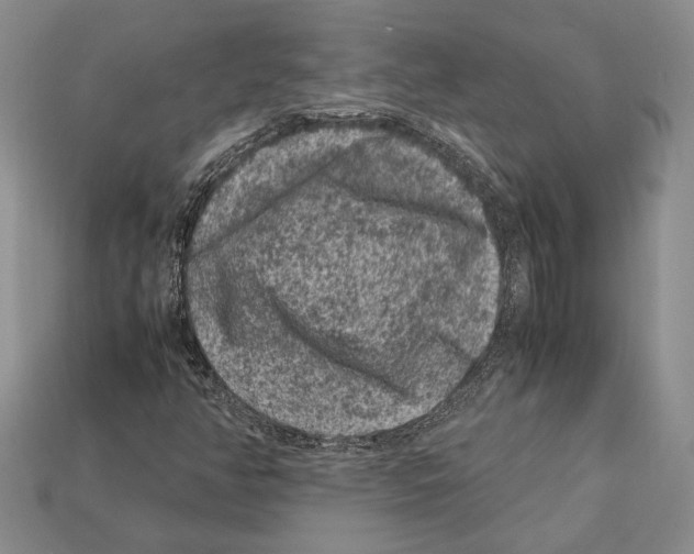X0000112211350200909181545