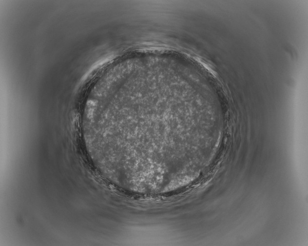 X0000112211351200909181545