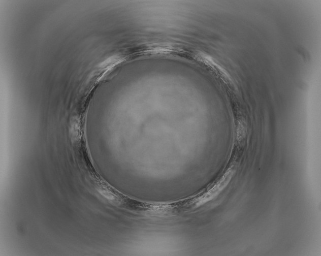 X0000112211353200909181545