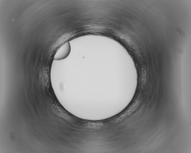 X0000112211354200909181545