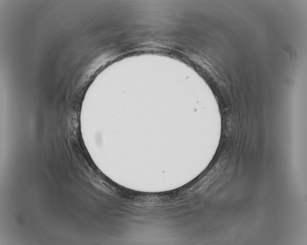 X0000112211355200909181545