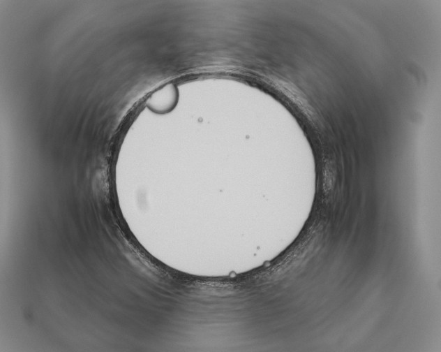 X0000112211356200909181545
