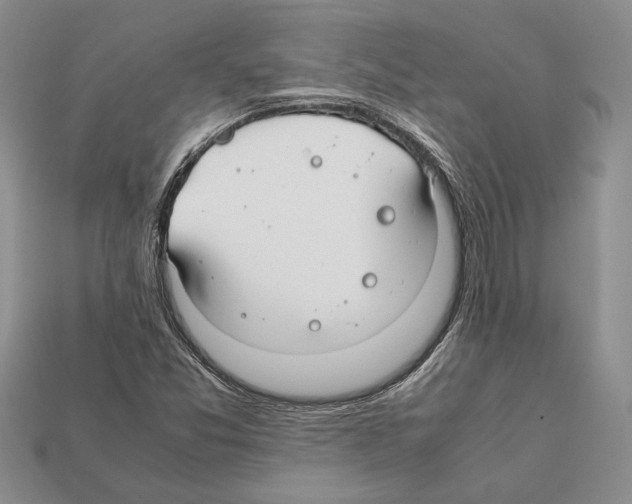 X0000112211357200909181545