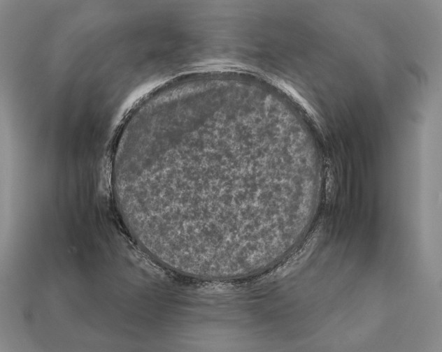 X0000112211358200909181545