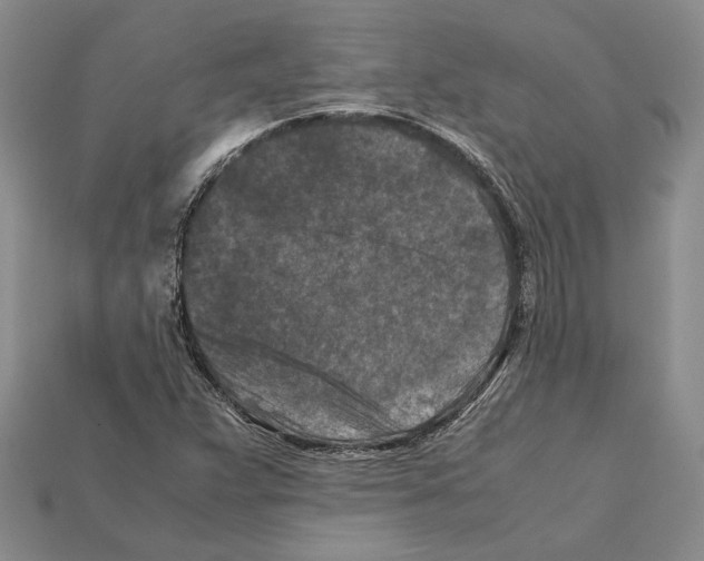 X0000112211359200909181545