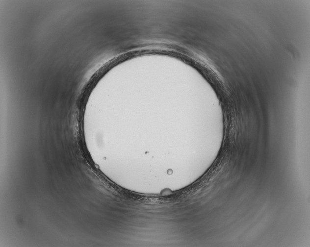 X0000112211360200909181545