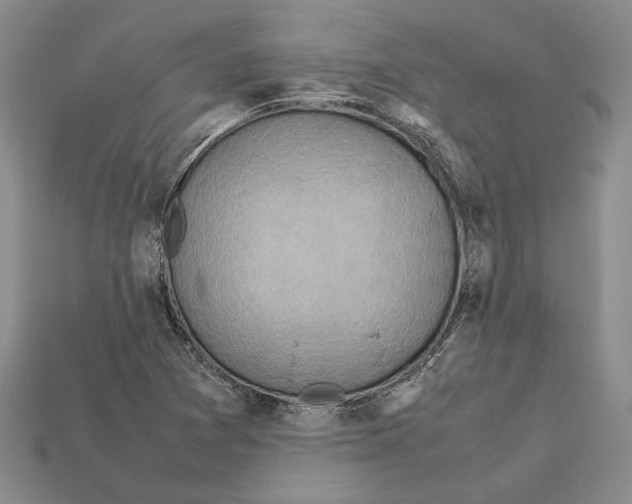 X0000112211361200909181545