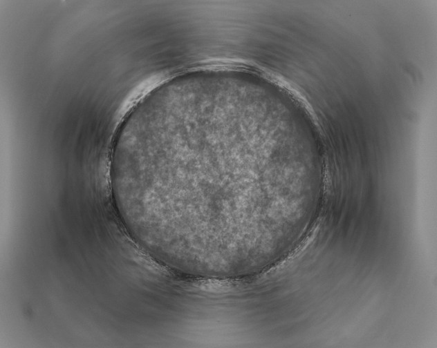 X0000112211362200909181545