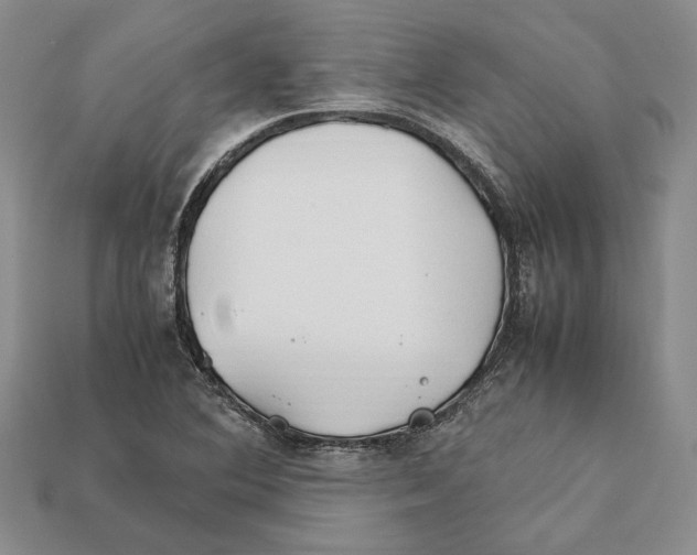 X0000112211364200909181545