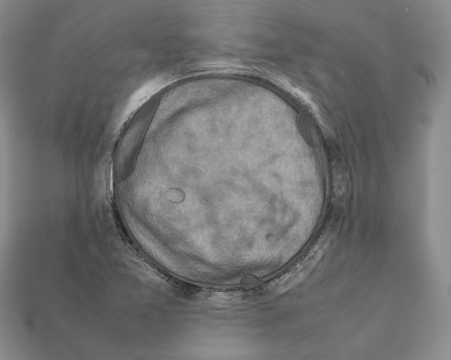 X0000112211365200909181545