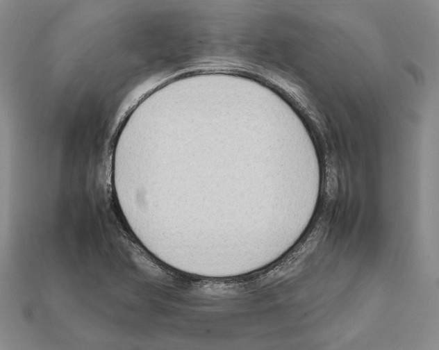 X0000112211366200909181545