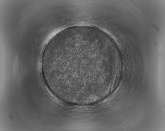 X0000112211367200909181545