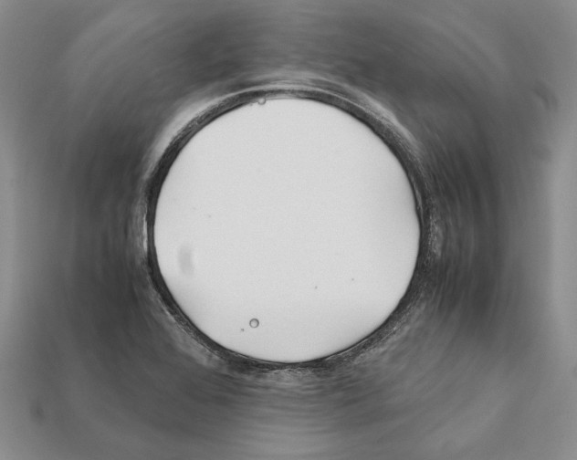 X0000112211368200909181545
