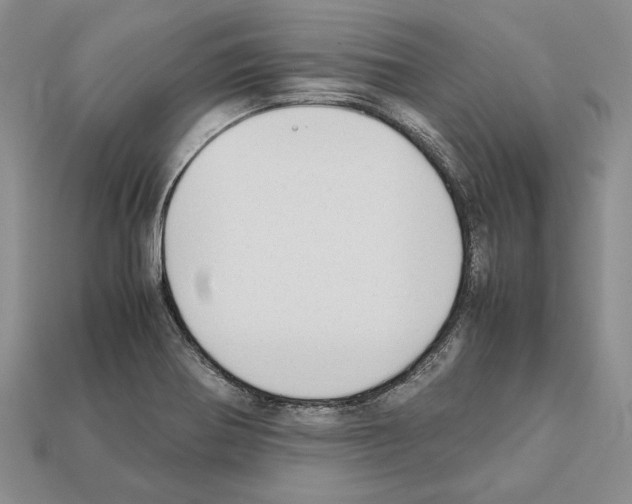 X0000112211370200909181545
