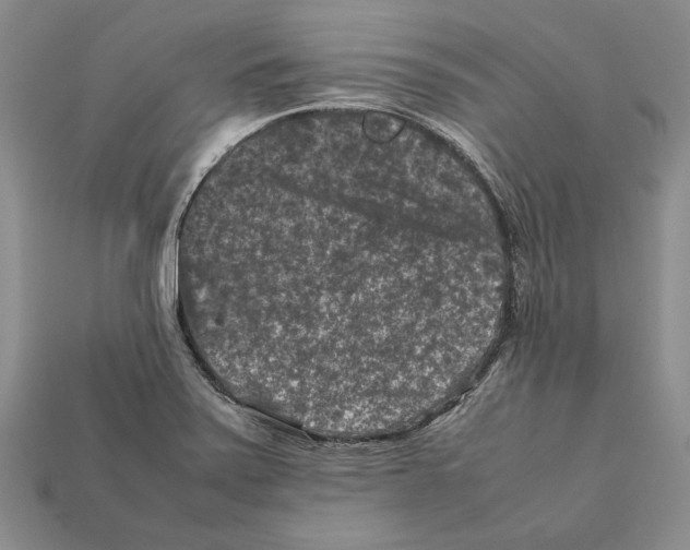 X0000112211371200909181545