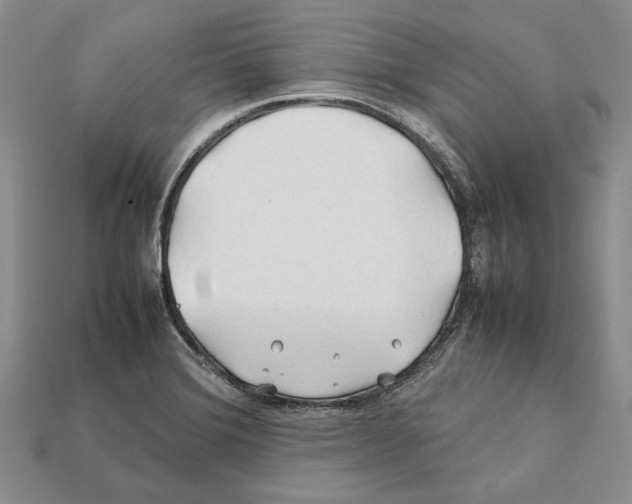 X0000112211372200909181545