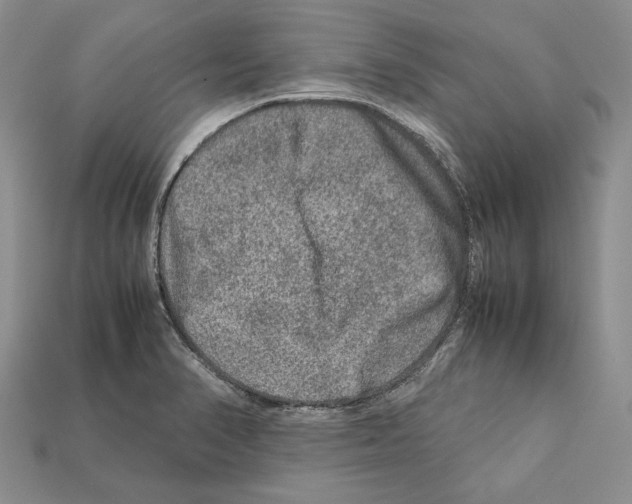 X0000112211374200909181545