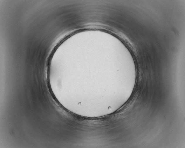 X0000112211376200909181545