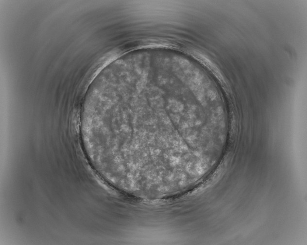 X0000112211377200909181545