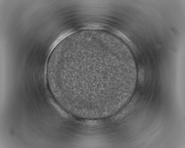 X0000112211378200909181545