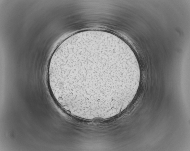 X0000112211379200909181545
