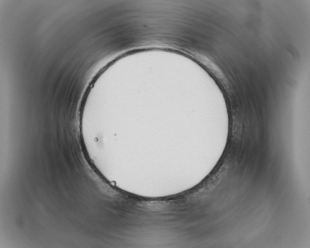 X0000112211380200909181545