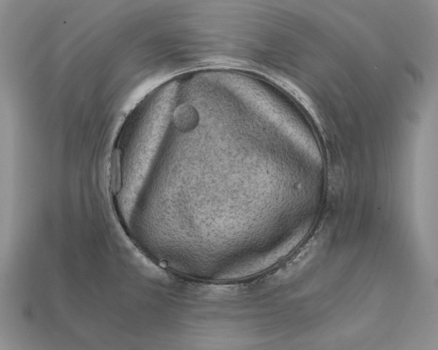X0000112211381200909181545