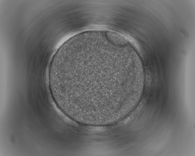 X0000112211382200909181545