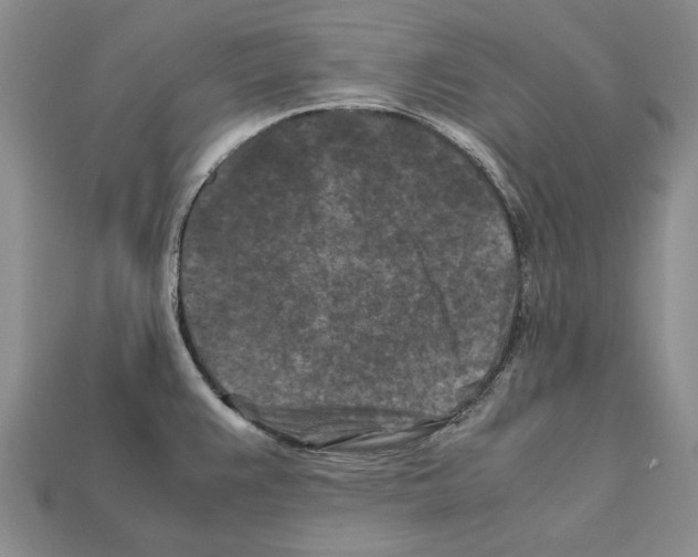 X0000112211383200909181545