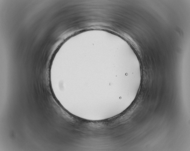 X0000112211384200909181545