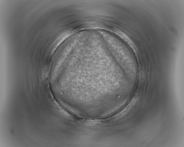 X0000112211385200909181545