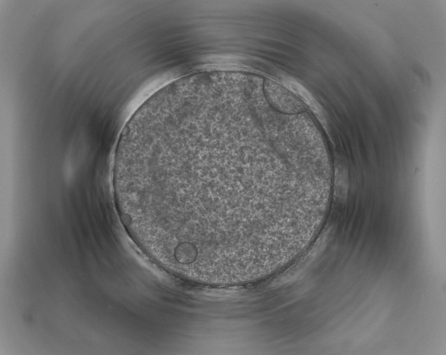 X0000112211386200909181545