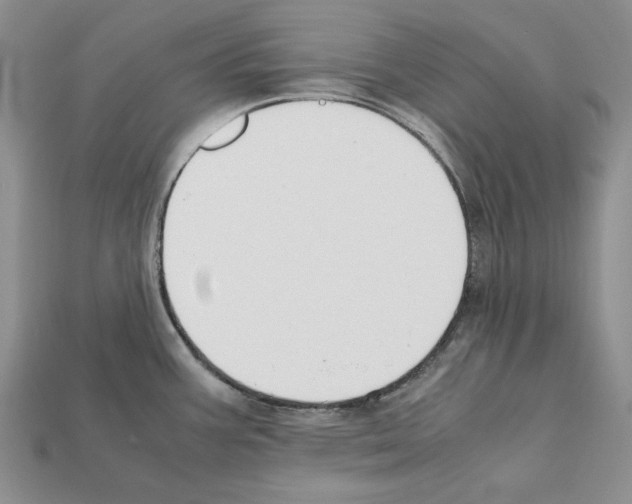 X0000112211387200909181545