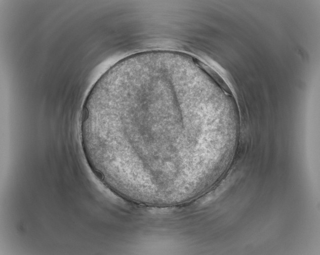 X0000112211389200909181545