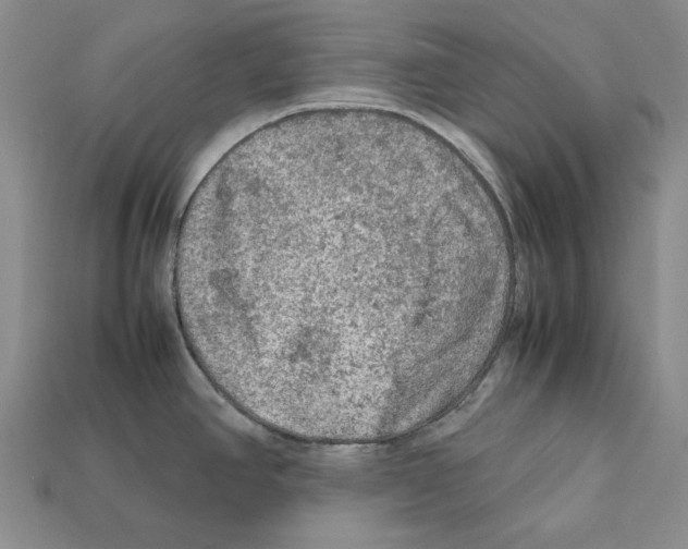 X0000112211390200909181545
