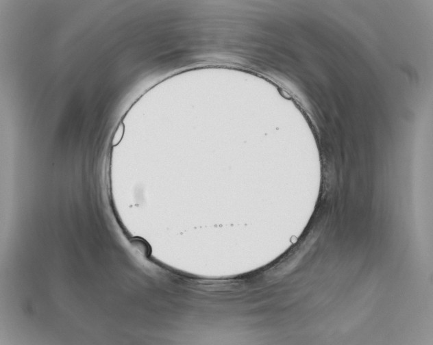 X0000112211391200909181545