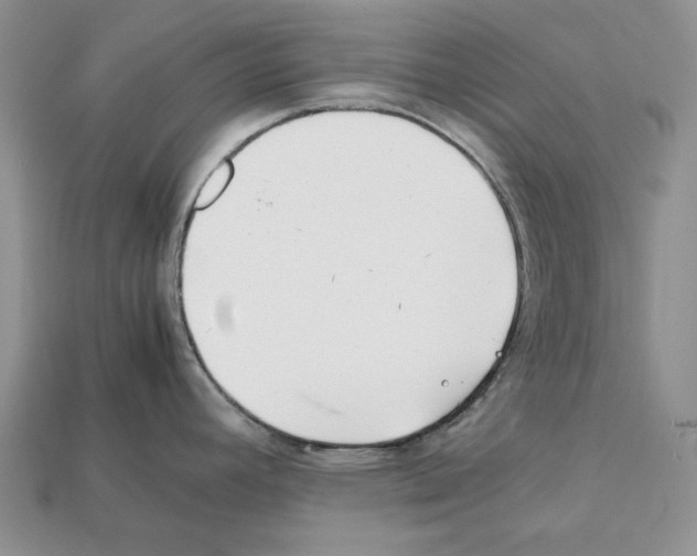 X0000112211392200909181545